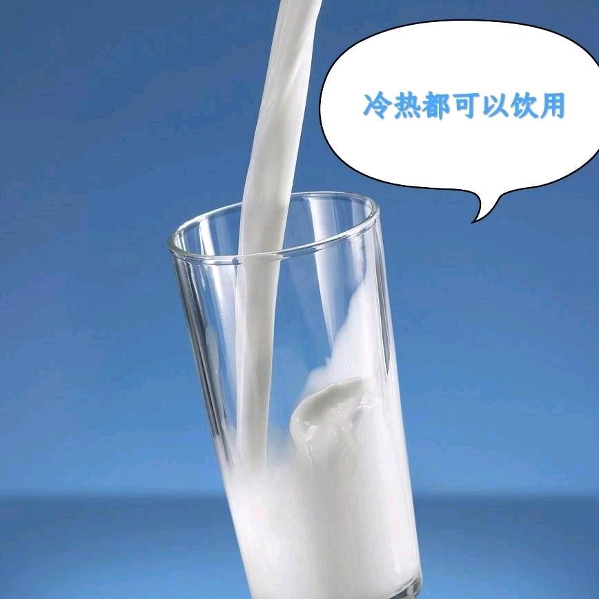桂阳温氏鲜奶二飞飞