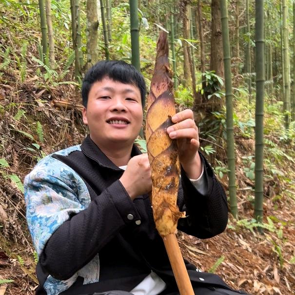 乡村熊宝