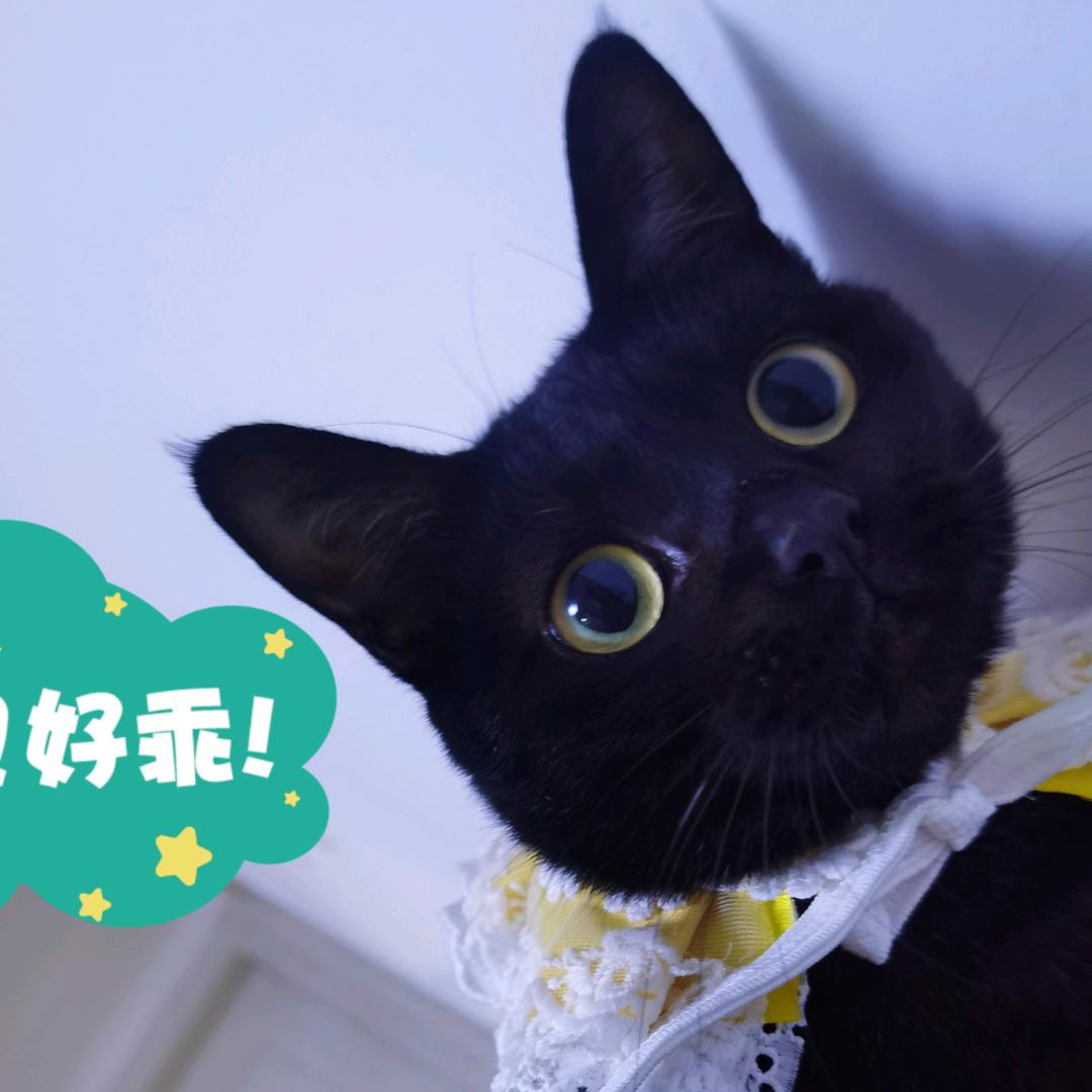Mina敏呐