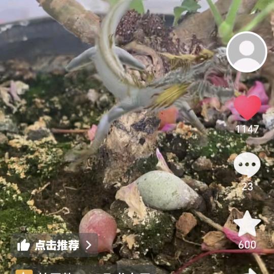 具惠毕创意设计精选工厂店