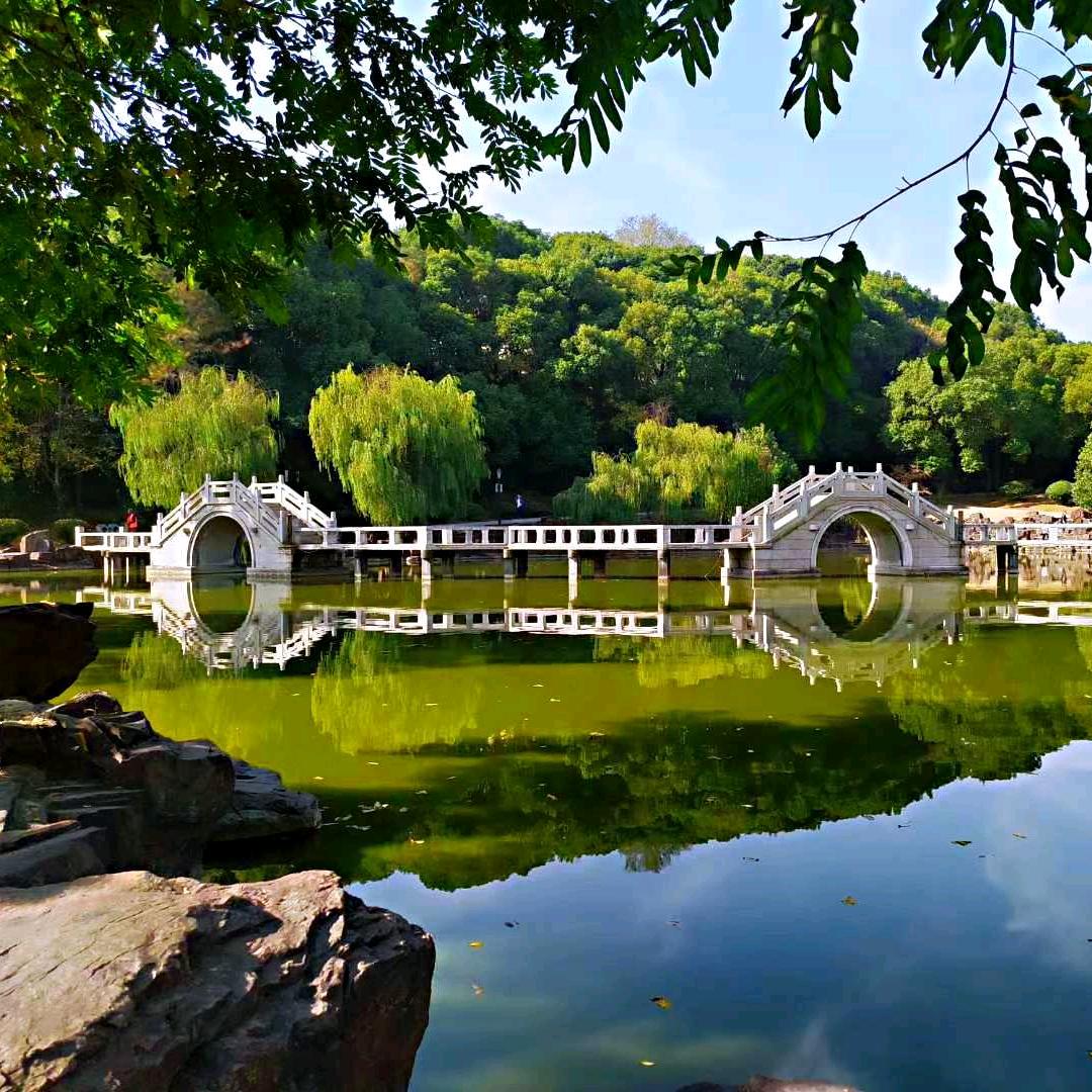 萤火拾夏