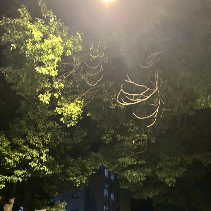 ღ᭄余生🌾不将就🦋꧔ꦿ᭄