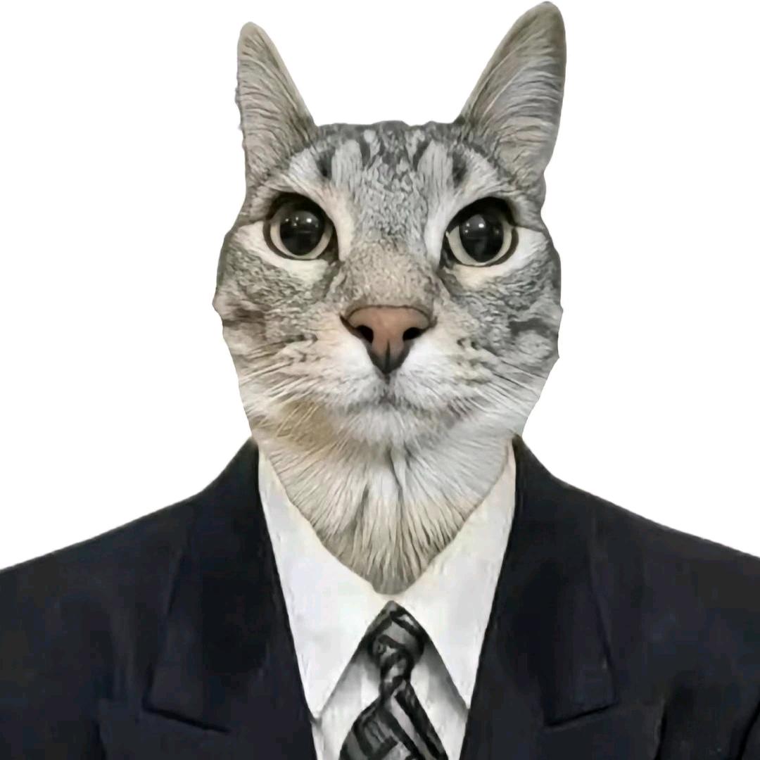 比奇堡猫me厨师长