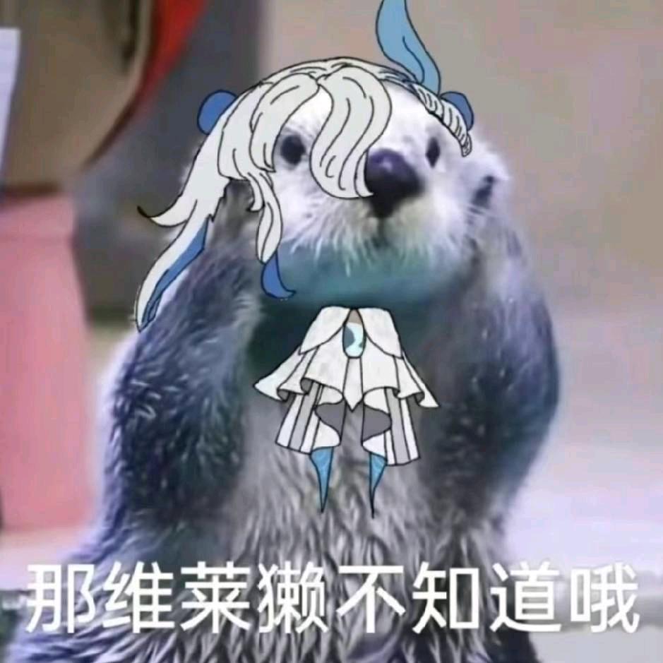 君杨