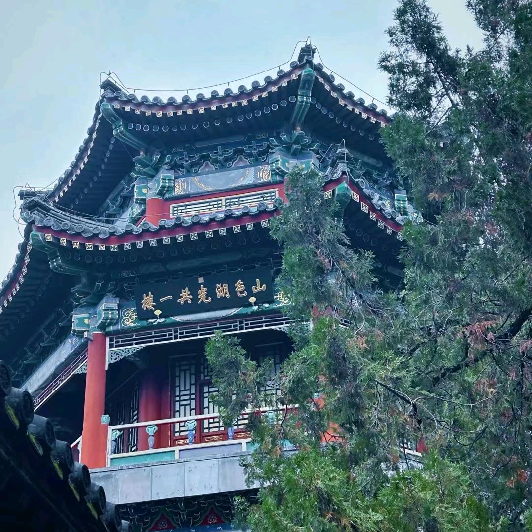 徐.（逸）