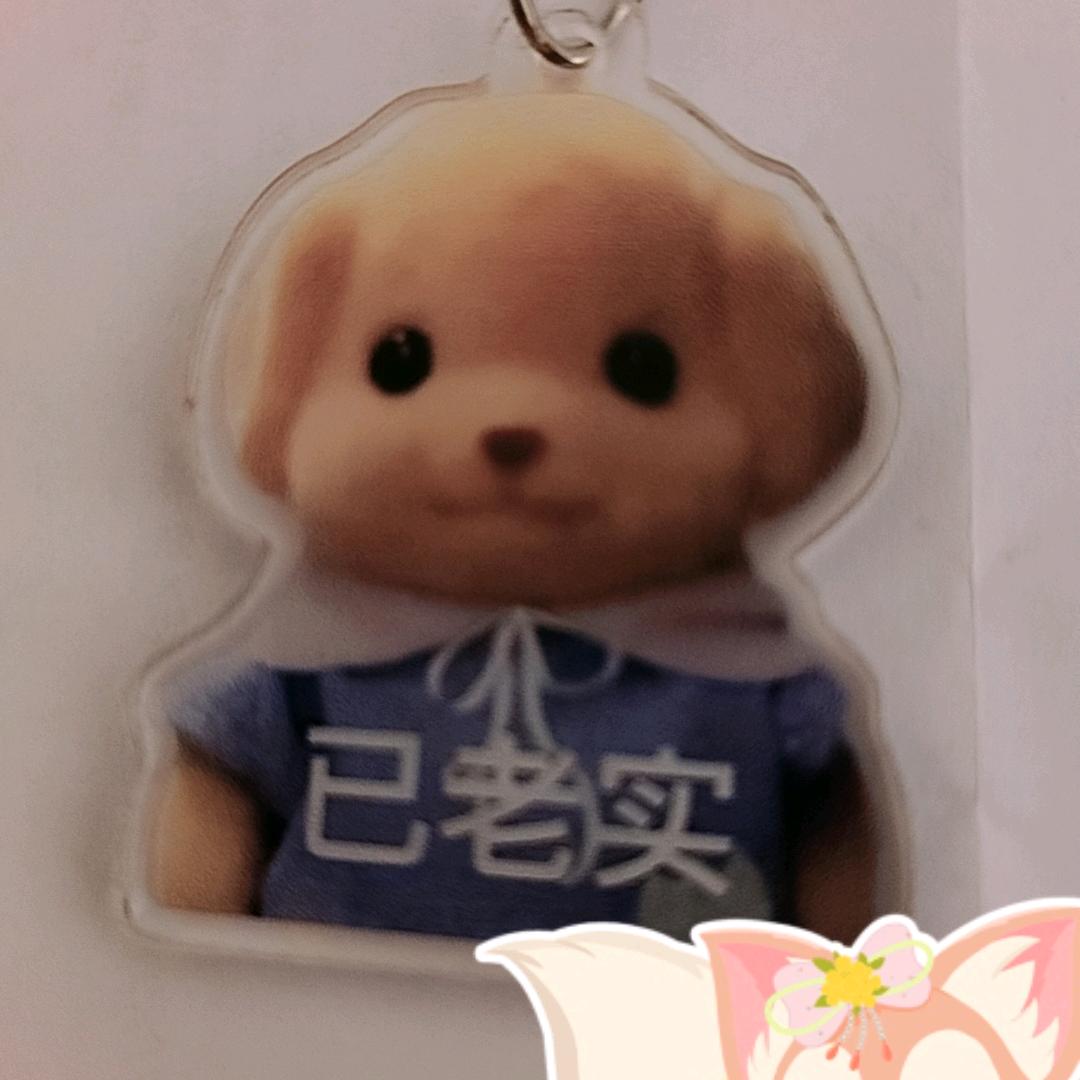 慧慧