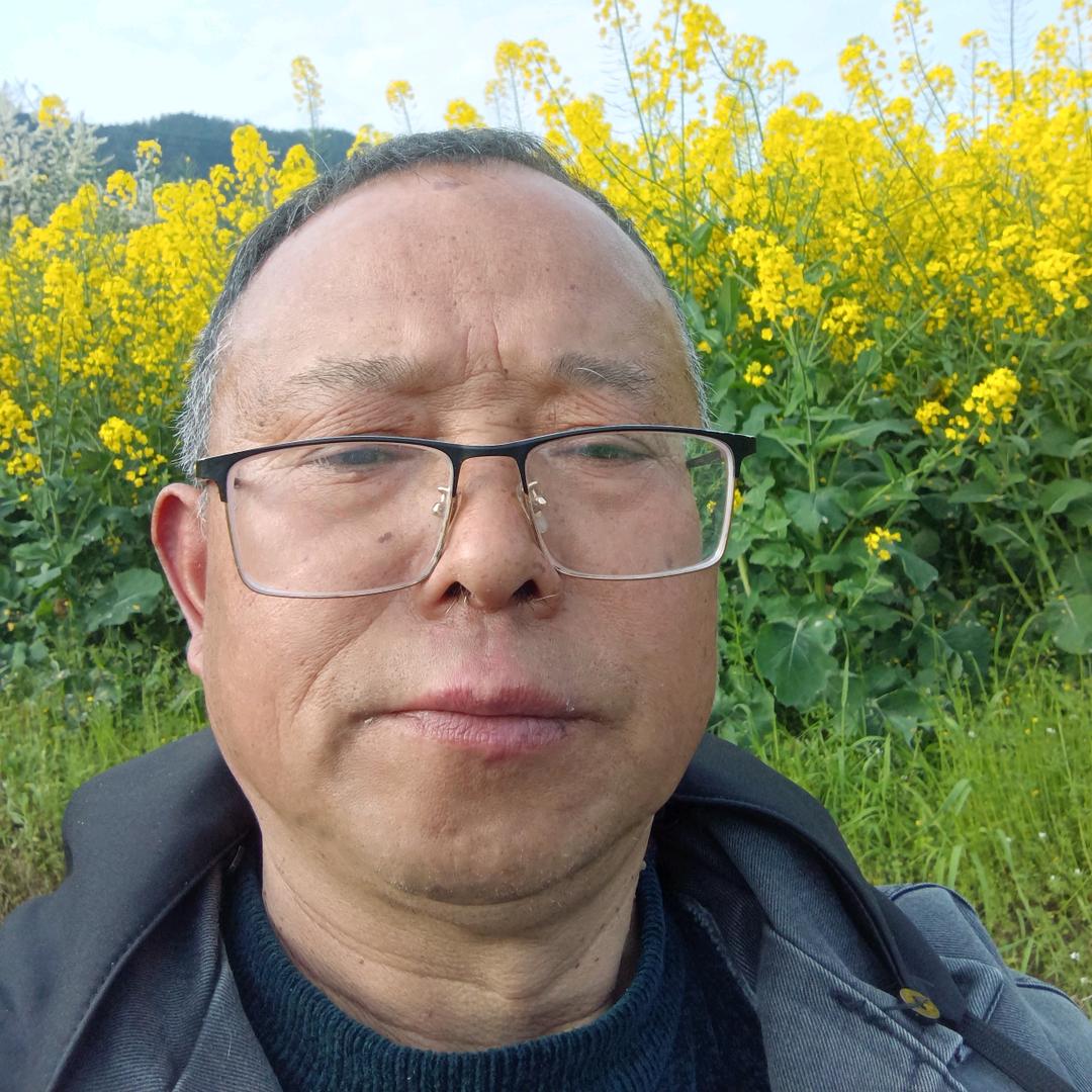 乡村邹二哥