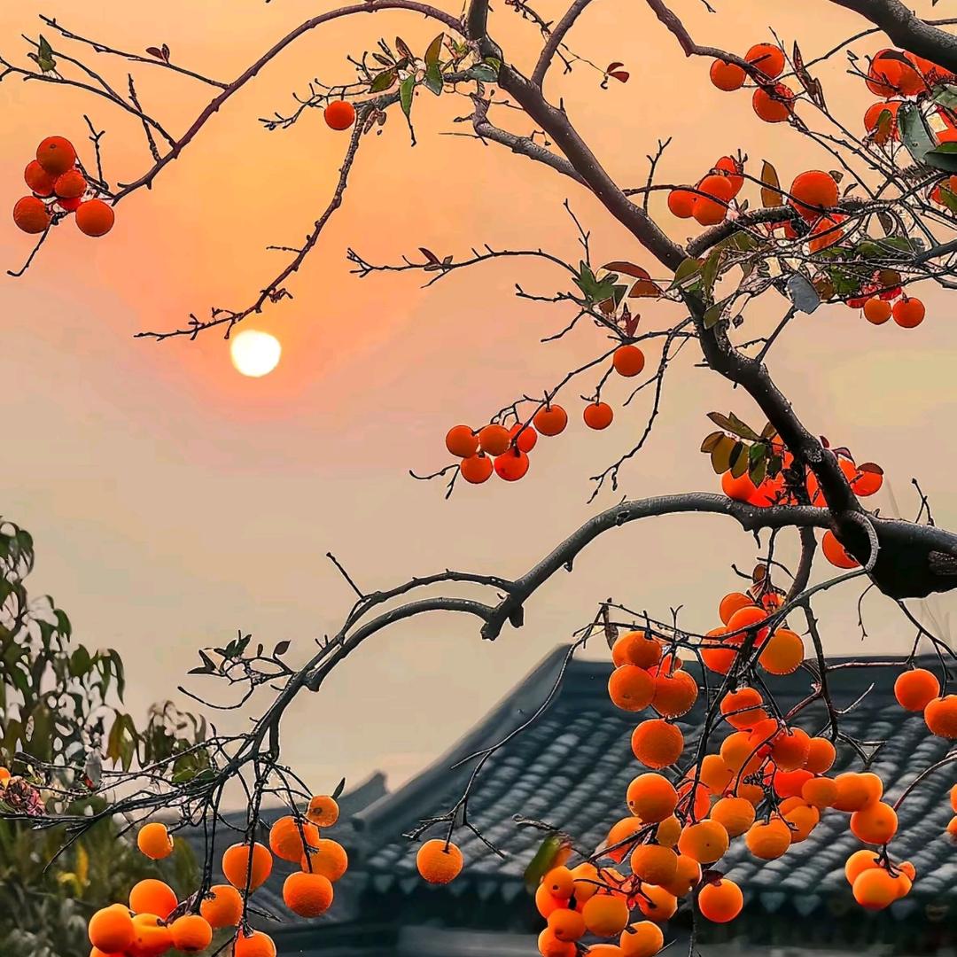 长矛老师头像