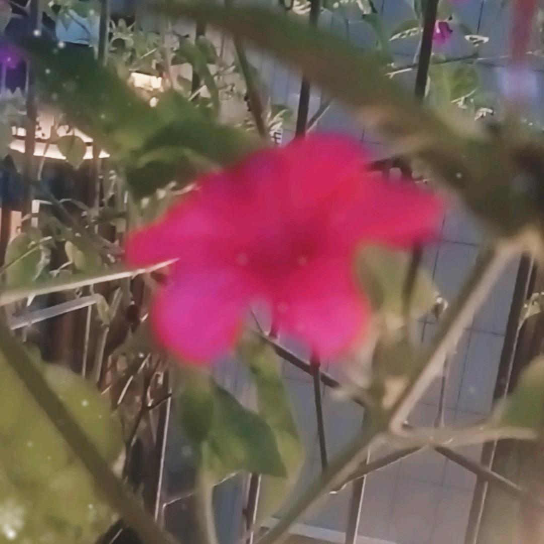 用户8067841626510