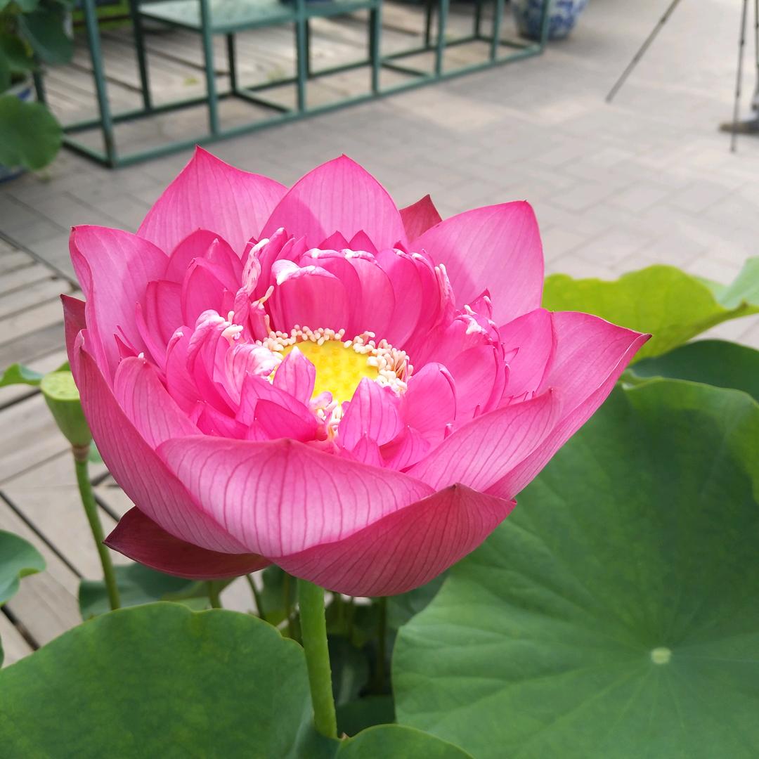 泽畔楚风