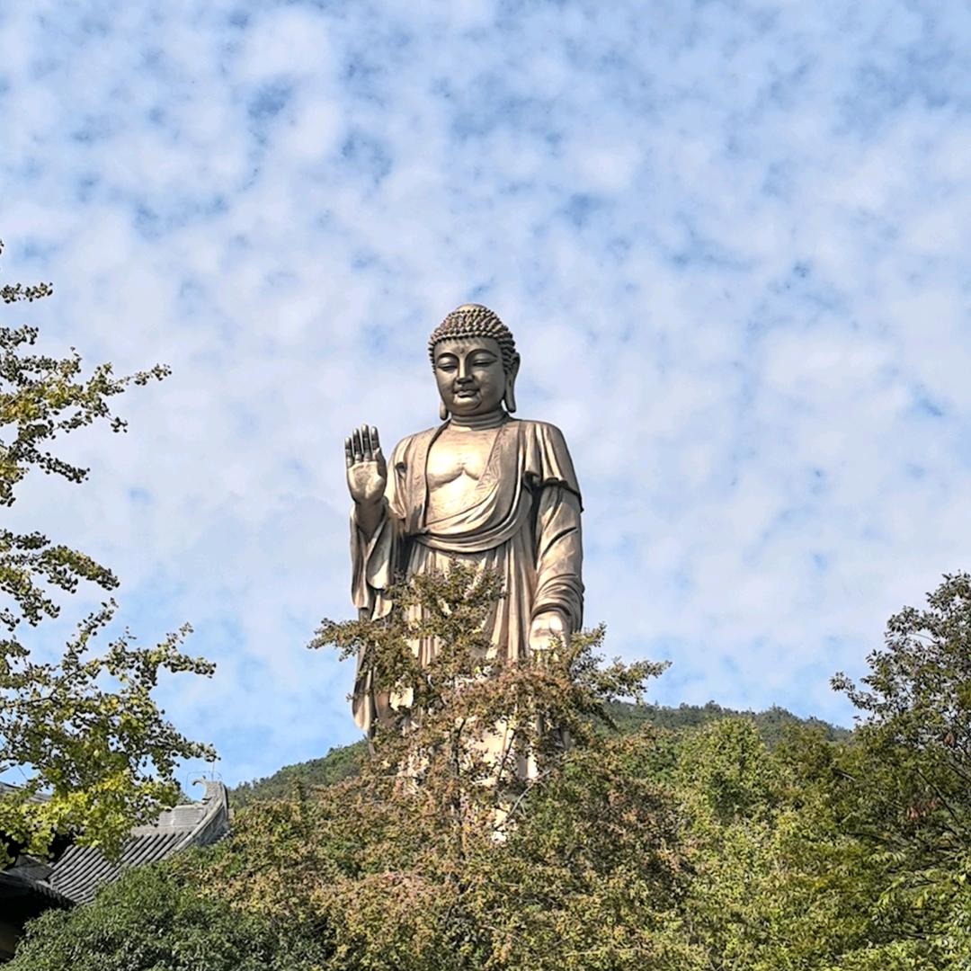 妙光🍀止语