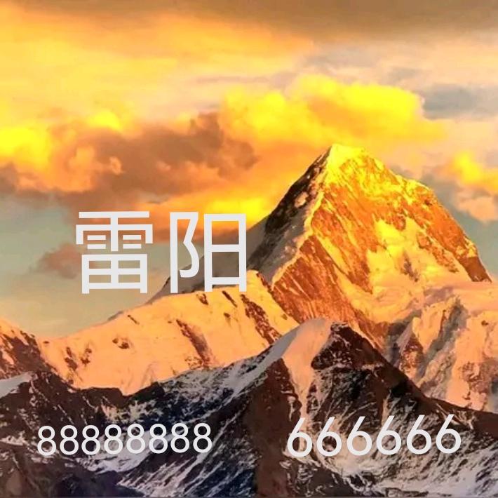雷阳-酱九坊8866