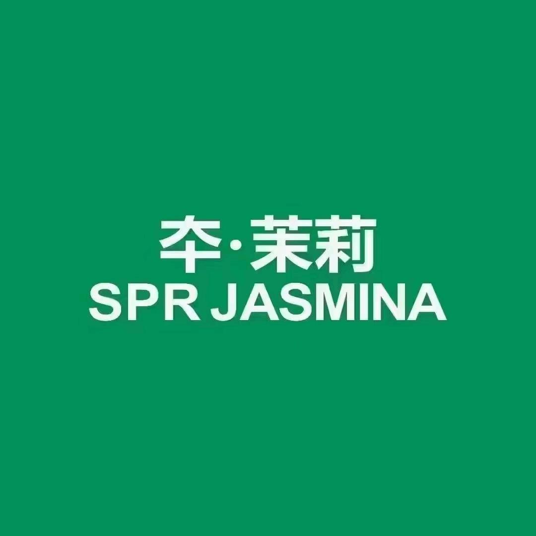 郧西城隍街夲茉莉