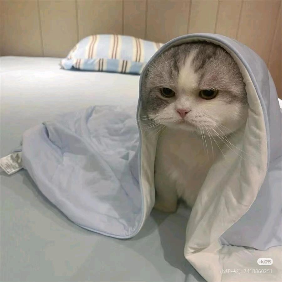 深度睡眠