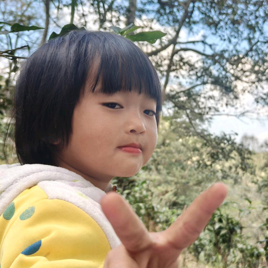 曼西良45号小秦古茶