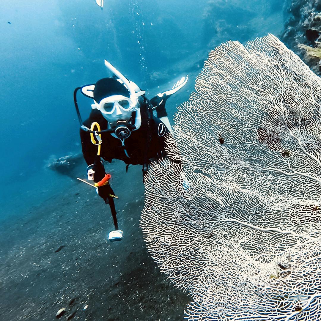 辽宁窥海潜水冲浪馆