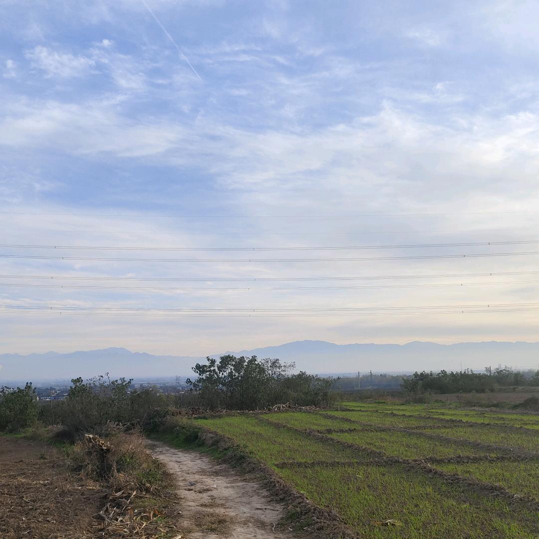 🌠劉鐵亮🌠書法