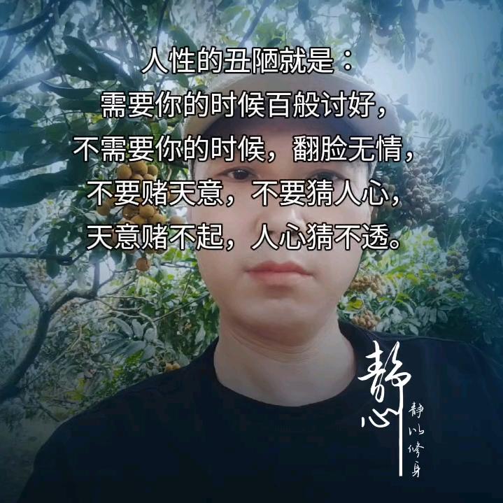 友谊无价