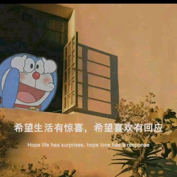 哈帅哈