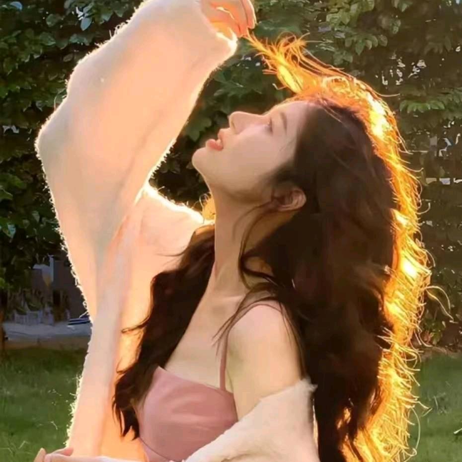 快来当领主—猪猪猫
