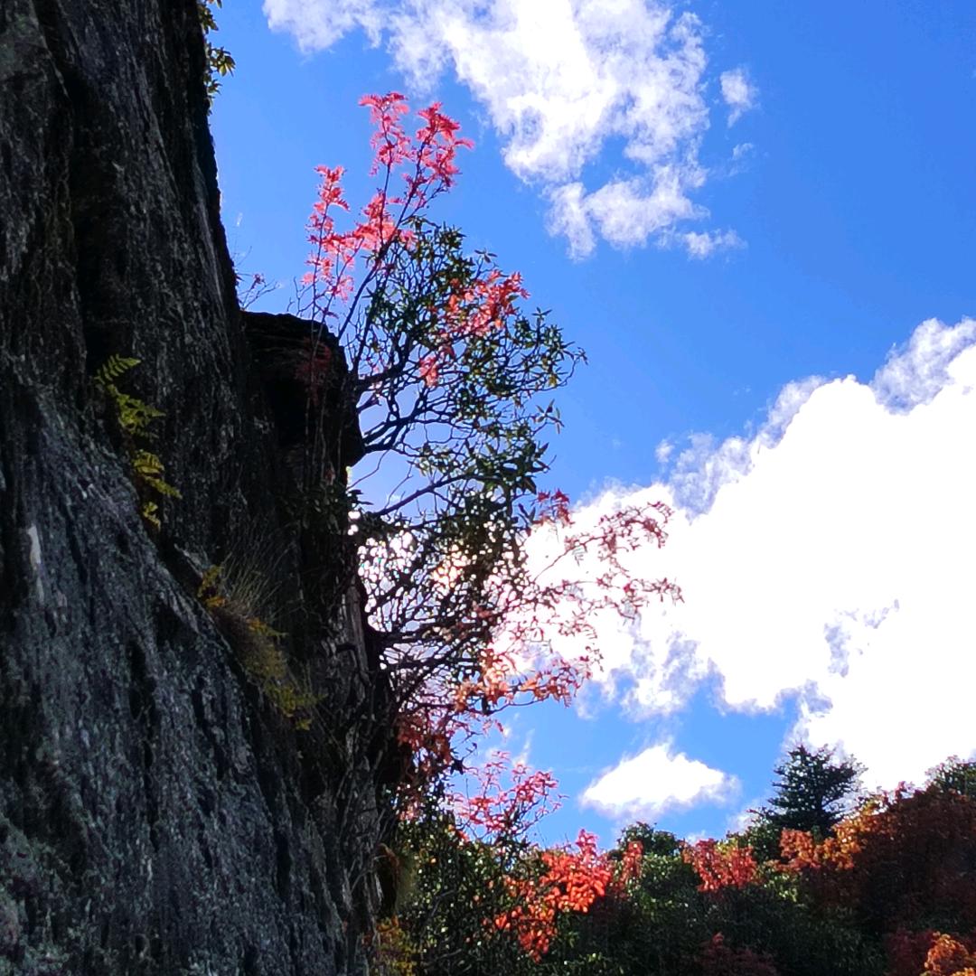 缘尽于此🎆🎆