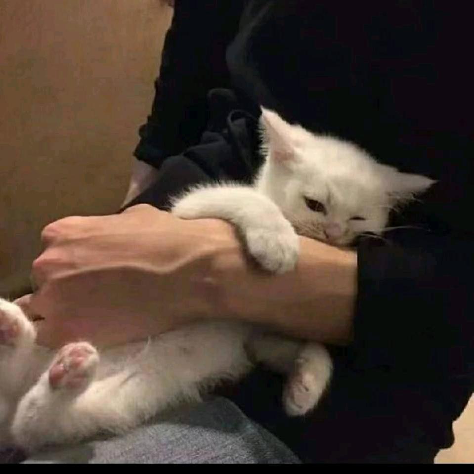 遇见