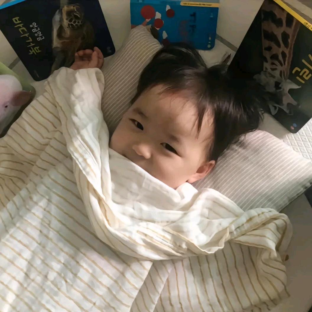 羊毛不卷卷