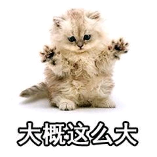 十八