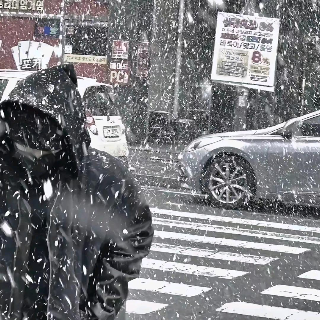 医路望