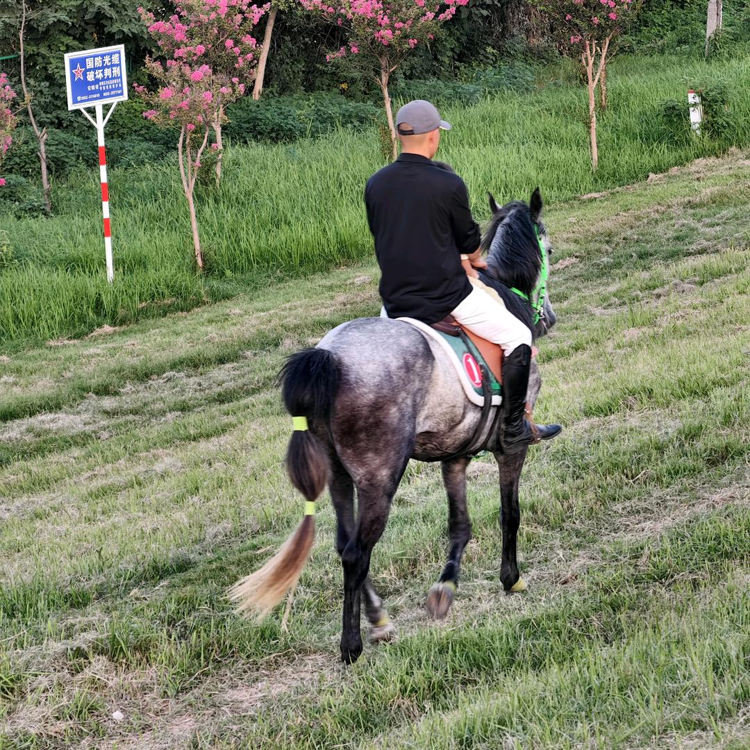 蚌埠市淮上区婷旭汽车商行（个体工商户）