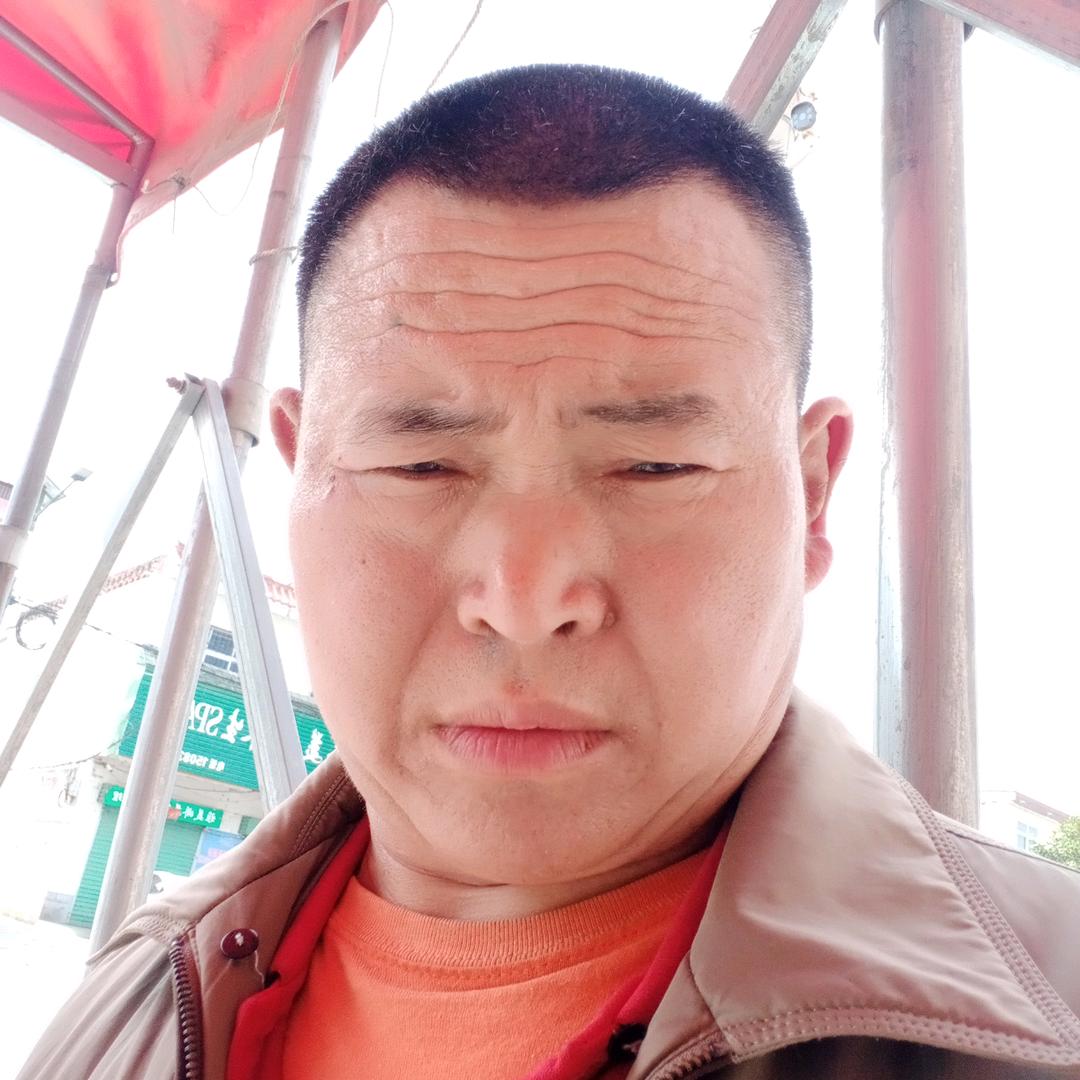 月亮代表我的心