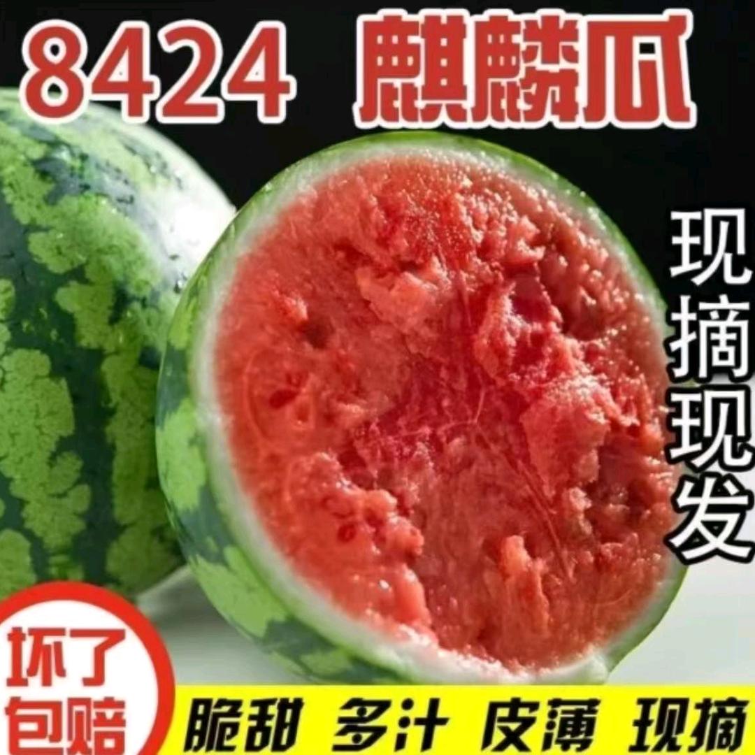 小涵三农