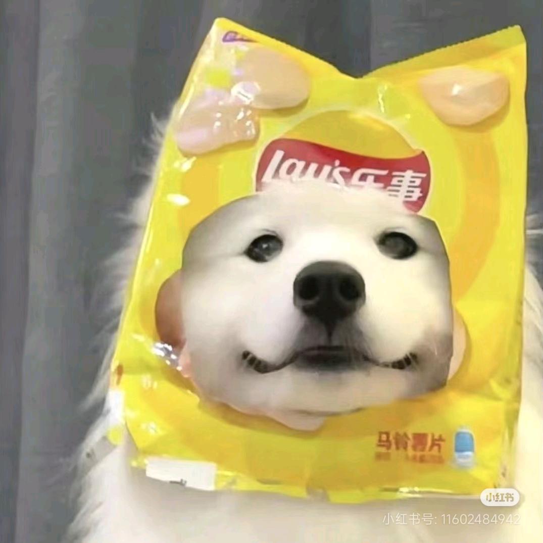 zx大帅比