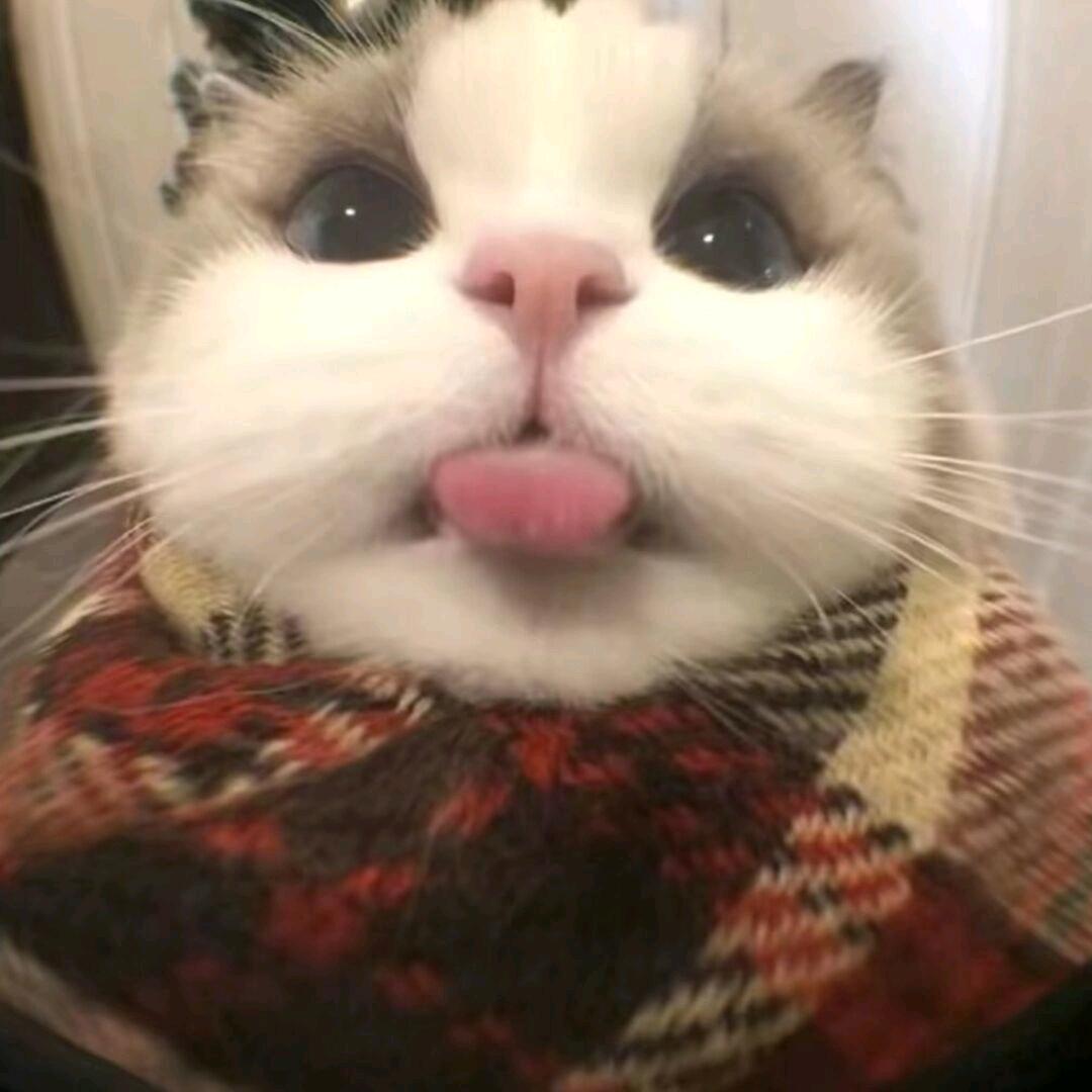 小婷