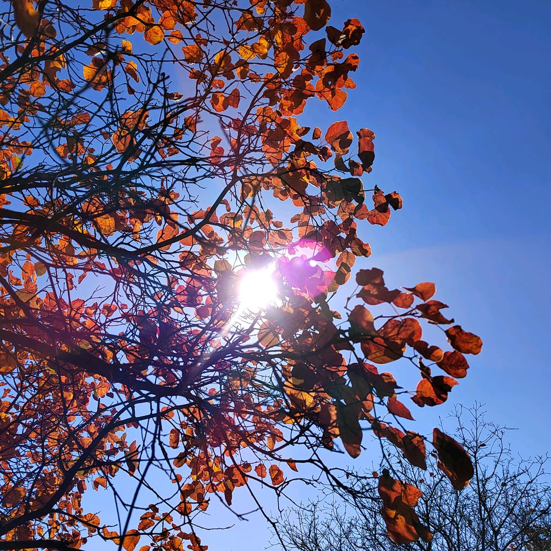 🌷花儿🌷爱健身