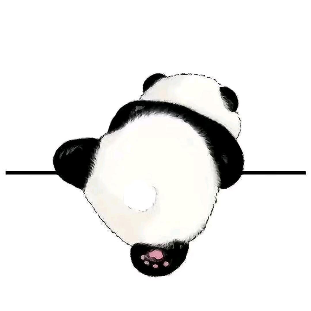 许我半夏纯白