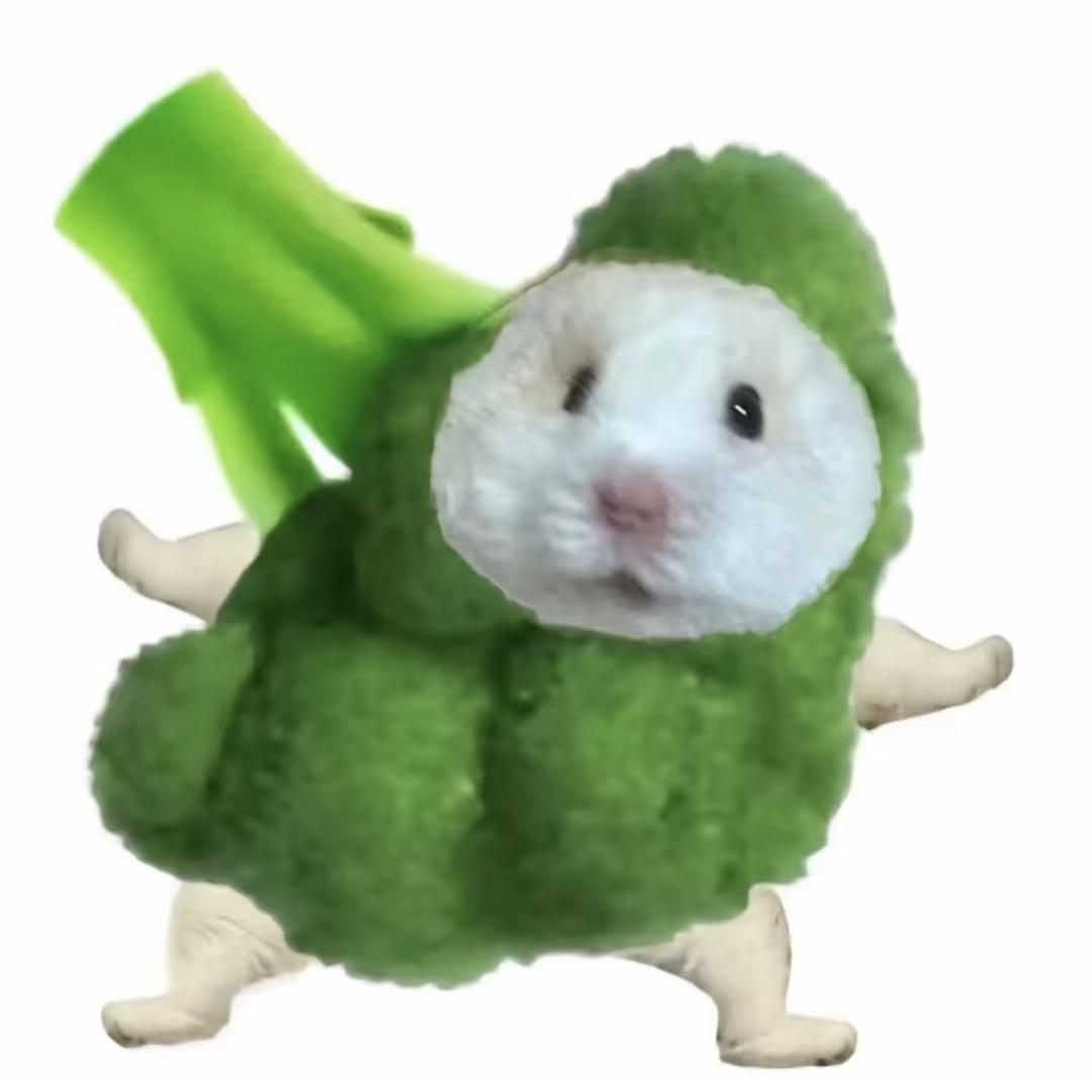 AAA专业批发潇洒哥