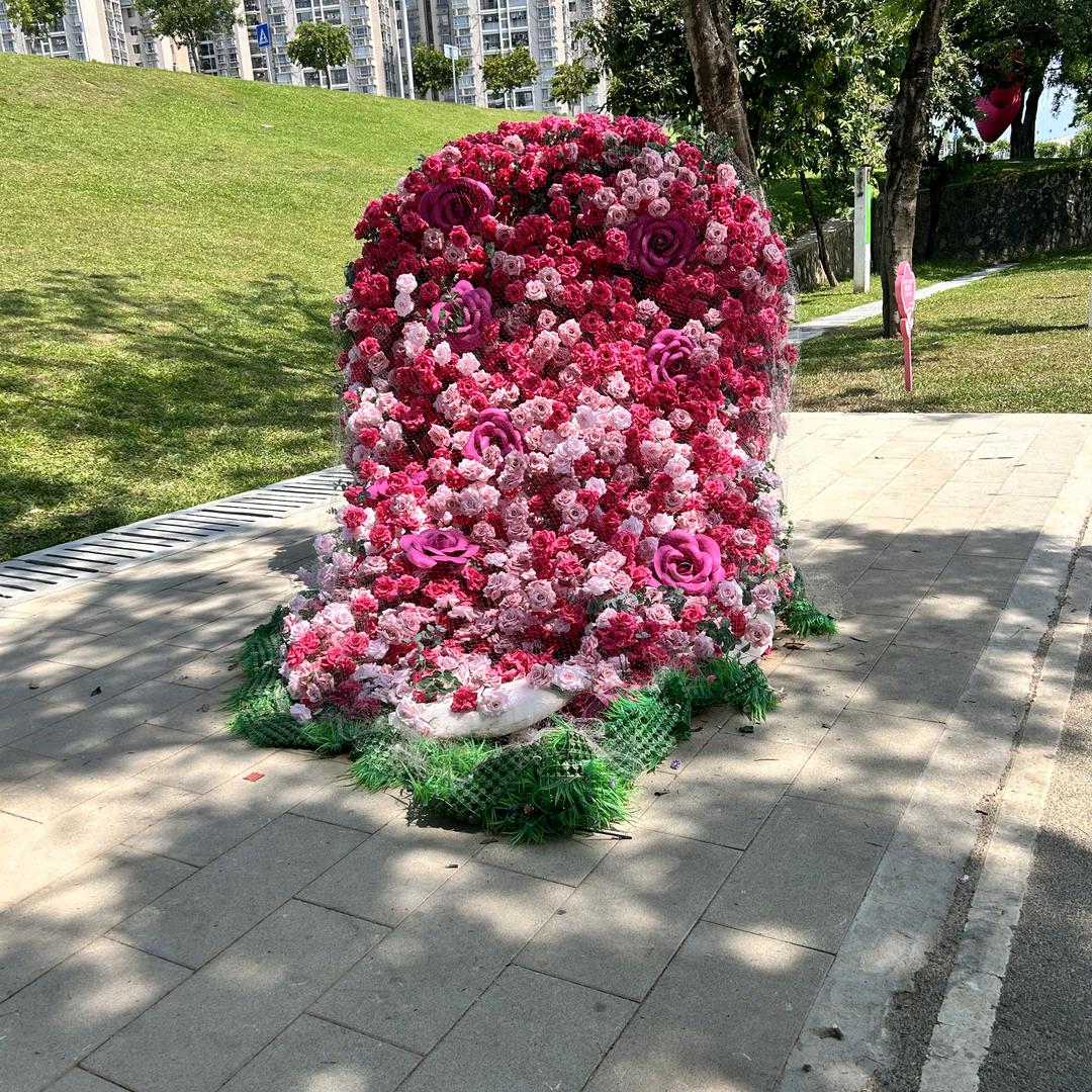 Cheng Mei，小号新人带货