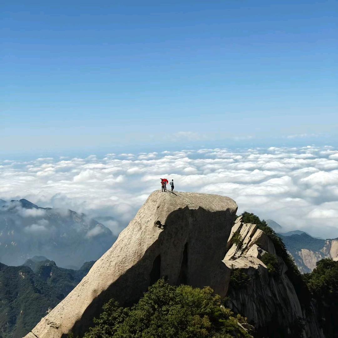 华山阿伟
