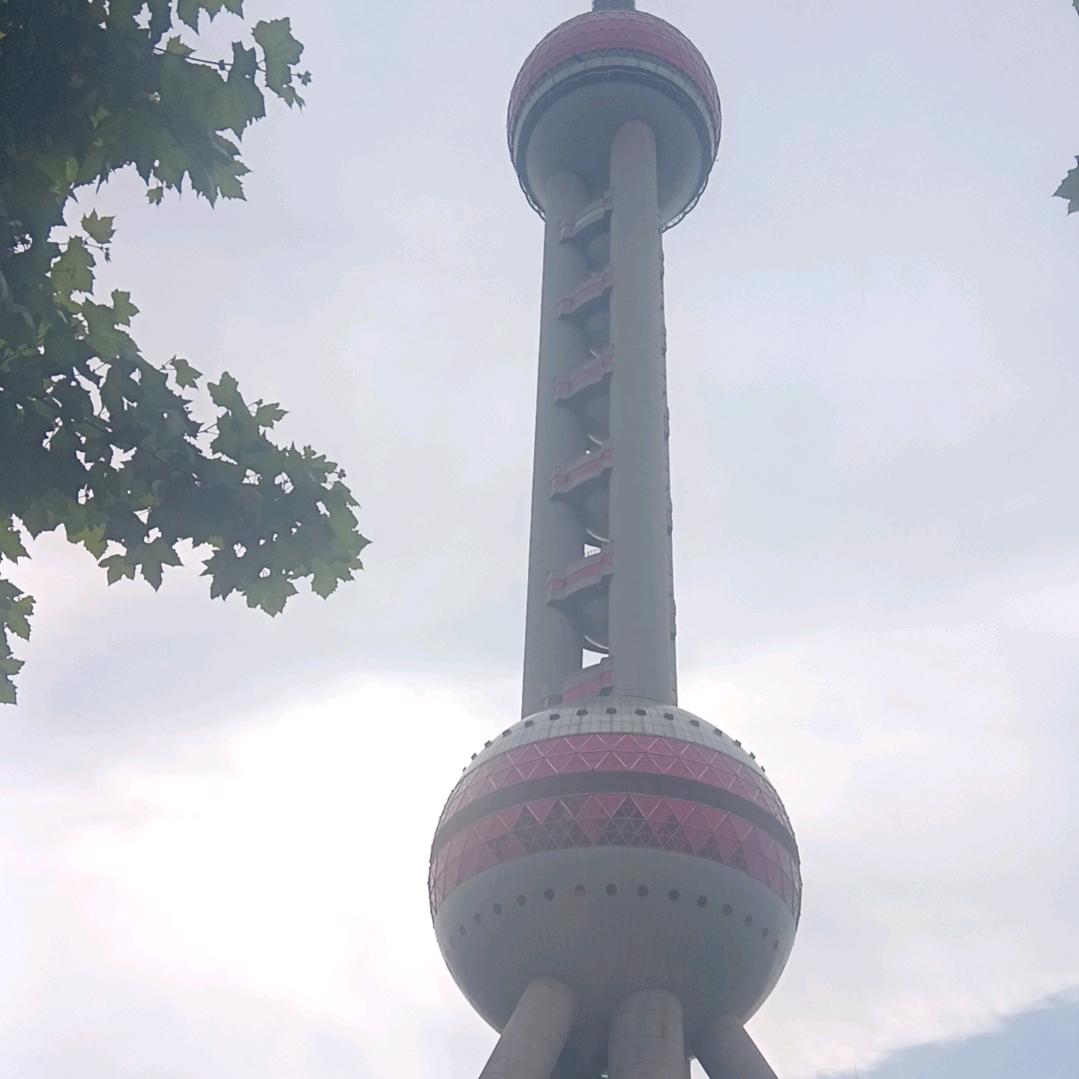 独宠小团团