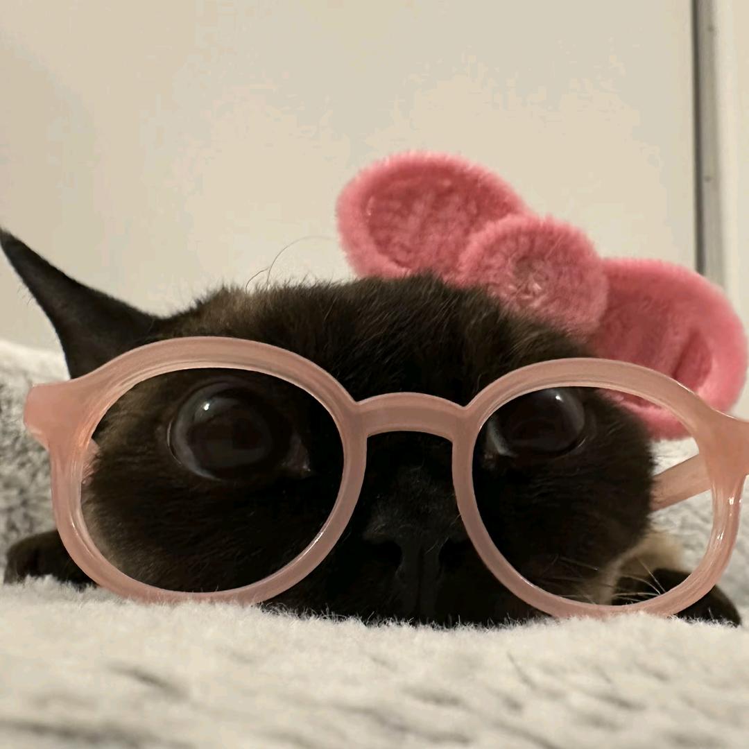 超级面包大王👑👑