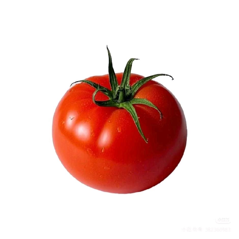 有机蔬菜