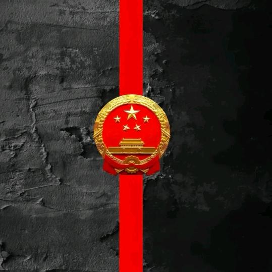 傲骨🇨🇳