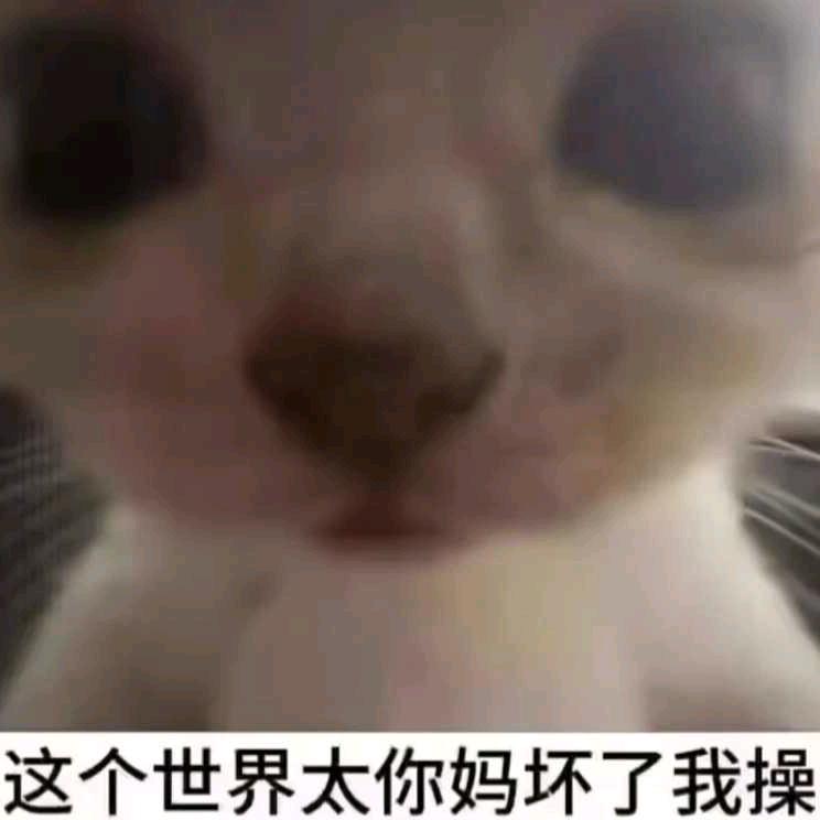 晰絮