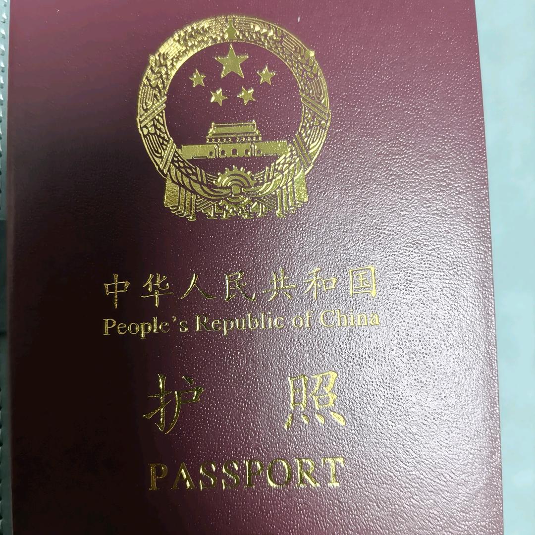 闯荡国外，挣钱钱