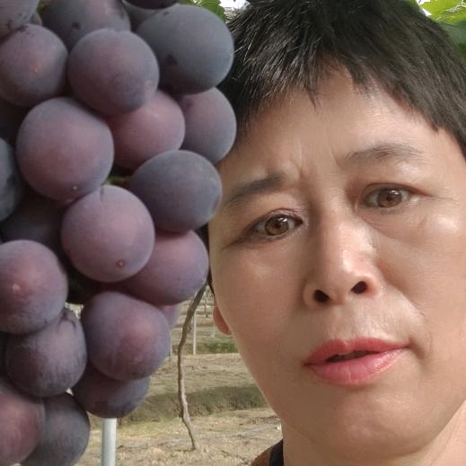 卢林姐首播晚上9点10分A13905