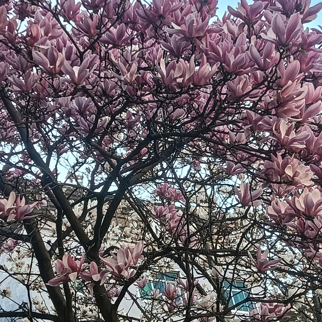 重庆：前：