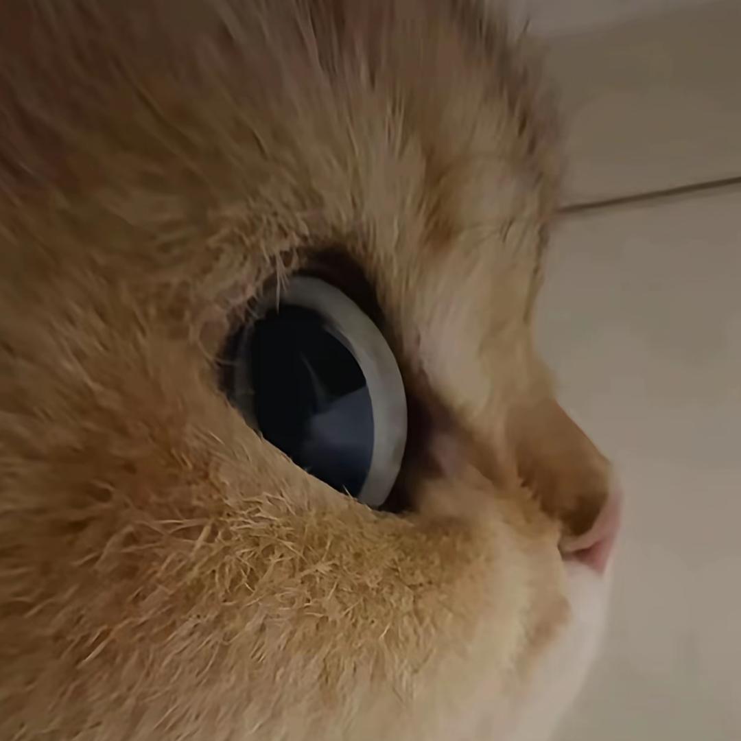 尔待吾之态，吾必以其态反报之