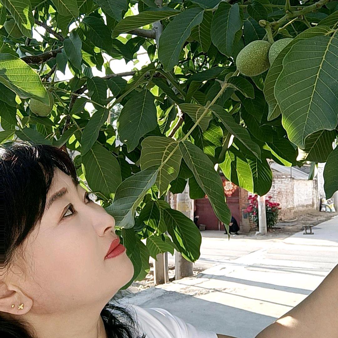 @心静如水
