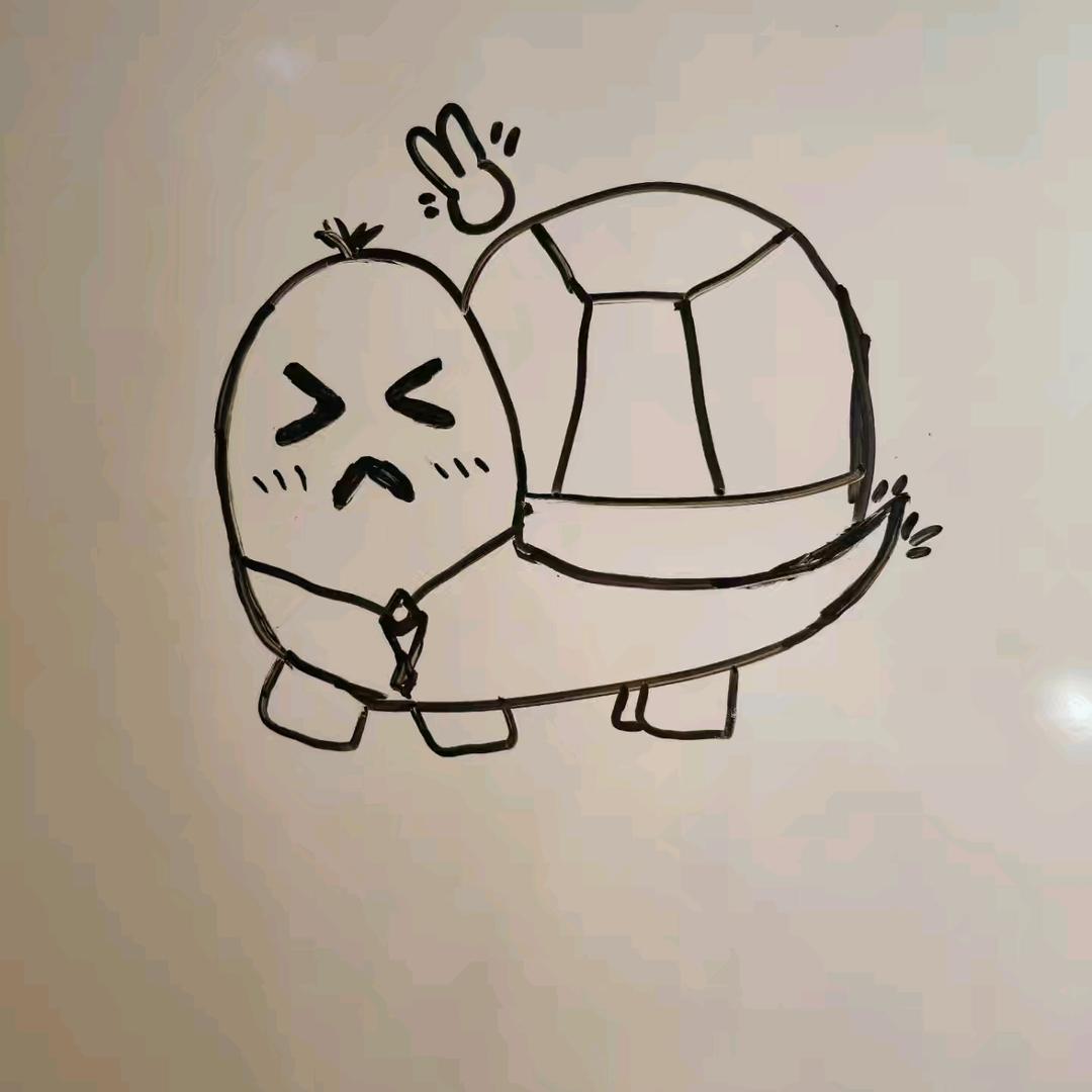 粉嫩大乌龟